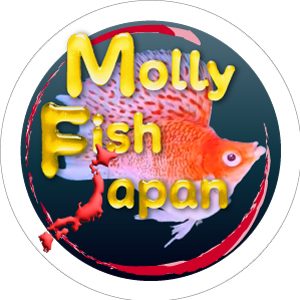 Molly Fish Japan ロゴ